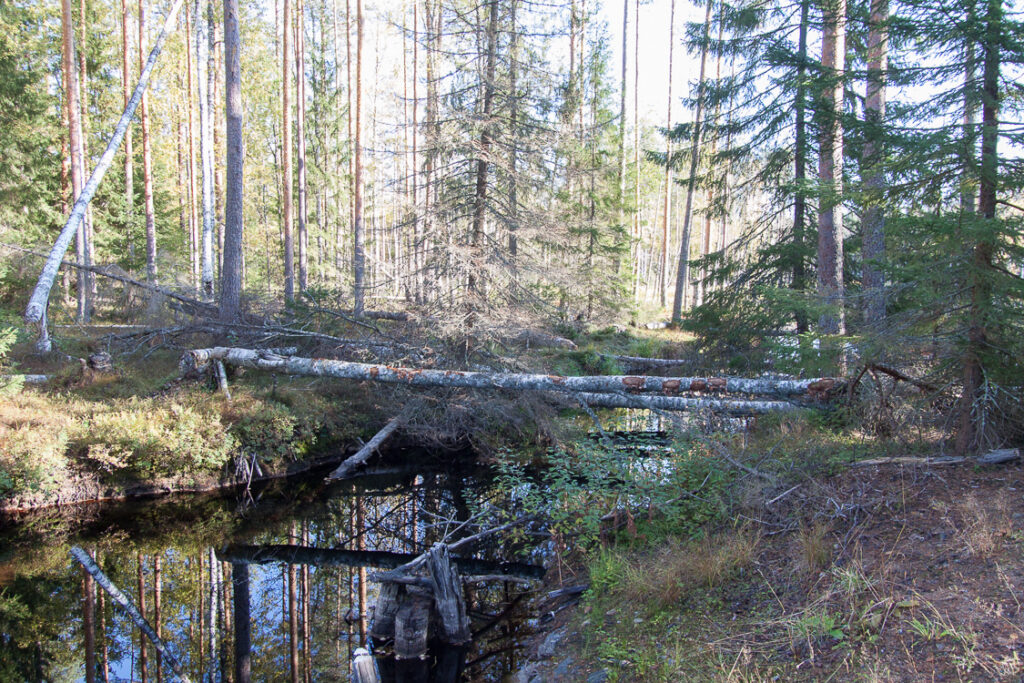 Seikkailijoiden syysretki 2019_007