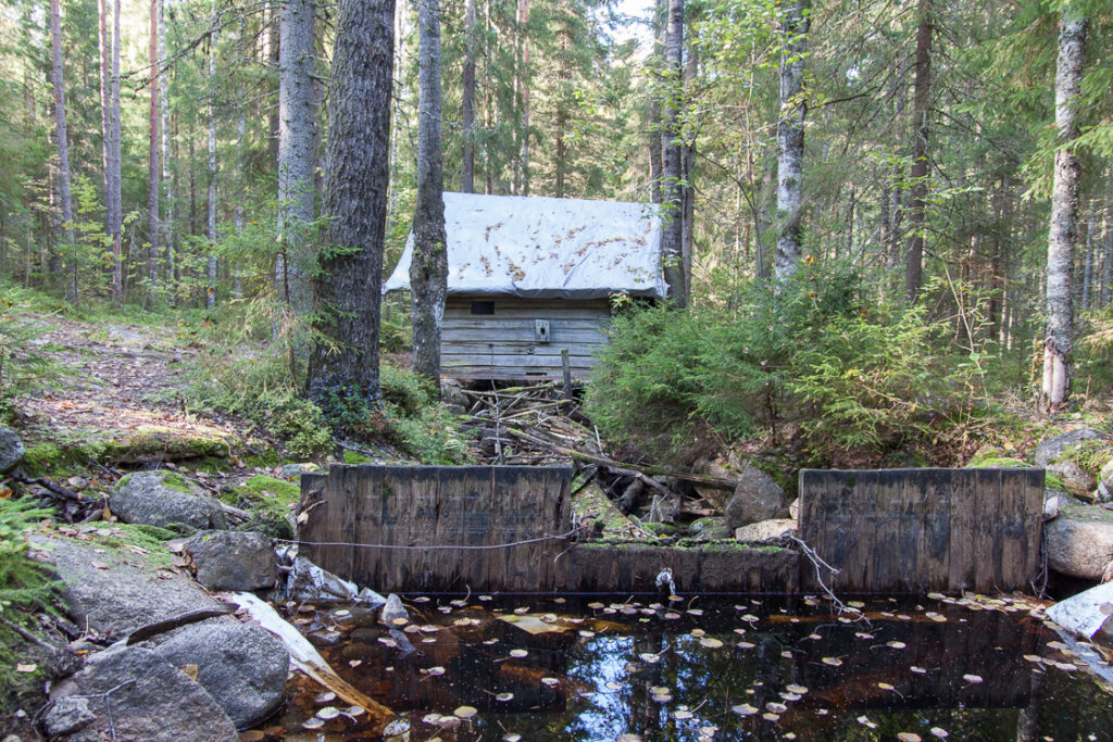 Seikkailijoiden syysretki 2019_010